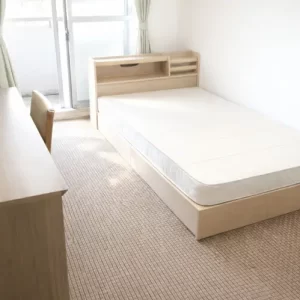 室内画像（スタンダードタイプが人気）